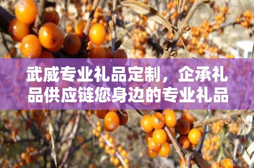 武威专业礼品定制，企承礼品供应链您身边的专业礼品定制公司